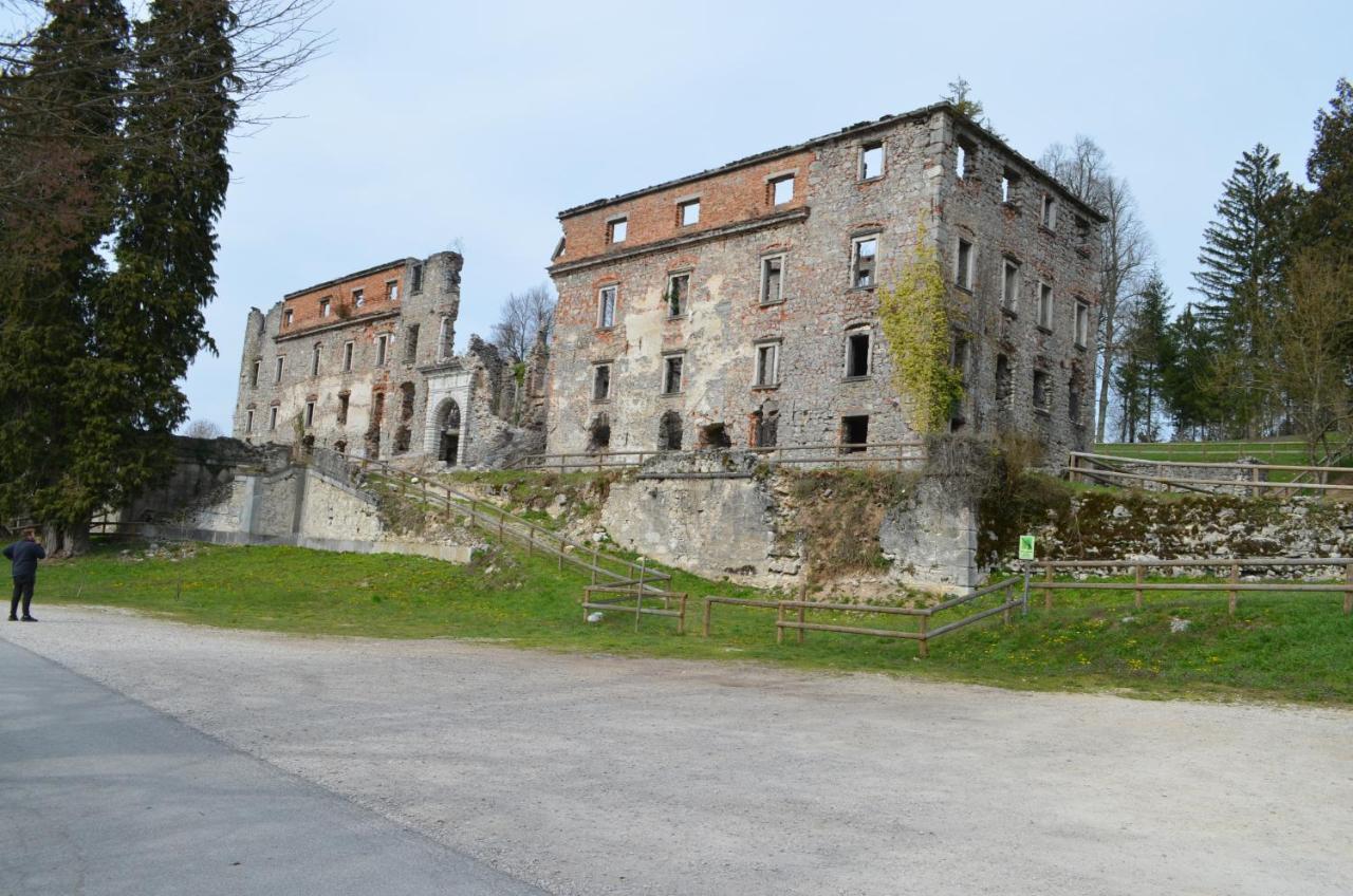 Apartma Nika Planina  Экстерьер фото
